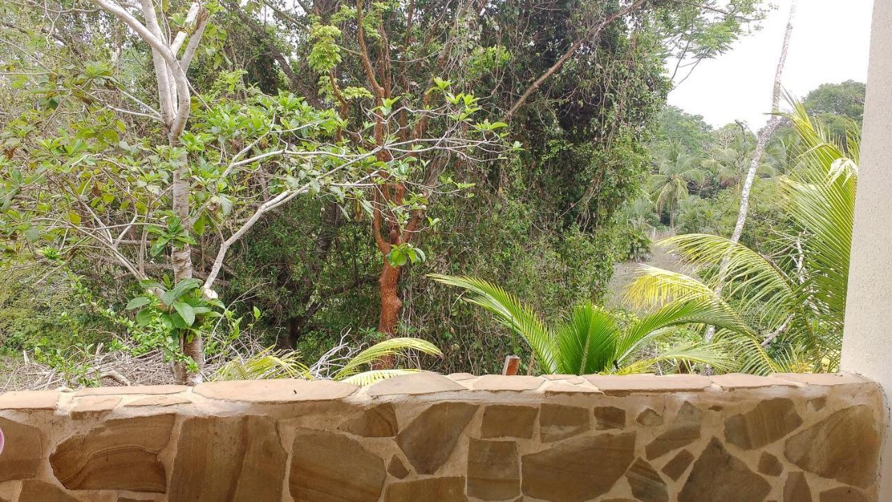 Montezuma Hills - Two Houses In A Private Compound מראה חיצוני תמונה